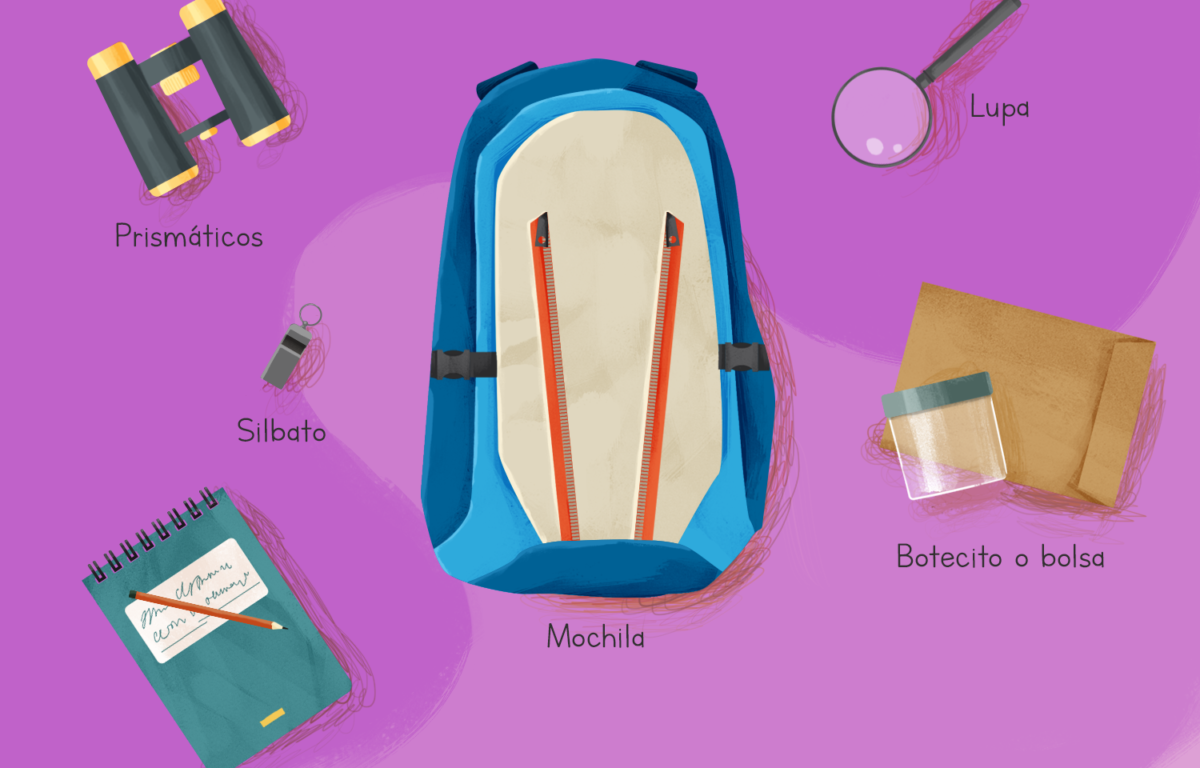 Así es el kit del perfecto explorador. ¿Qué cosas no pueden faltar en tu mochila?